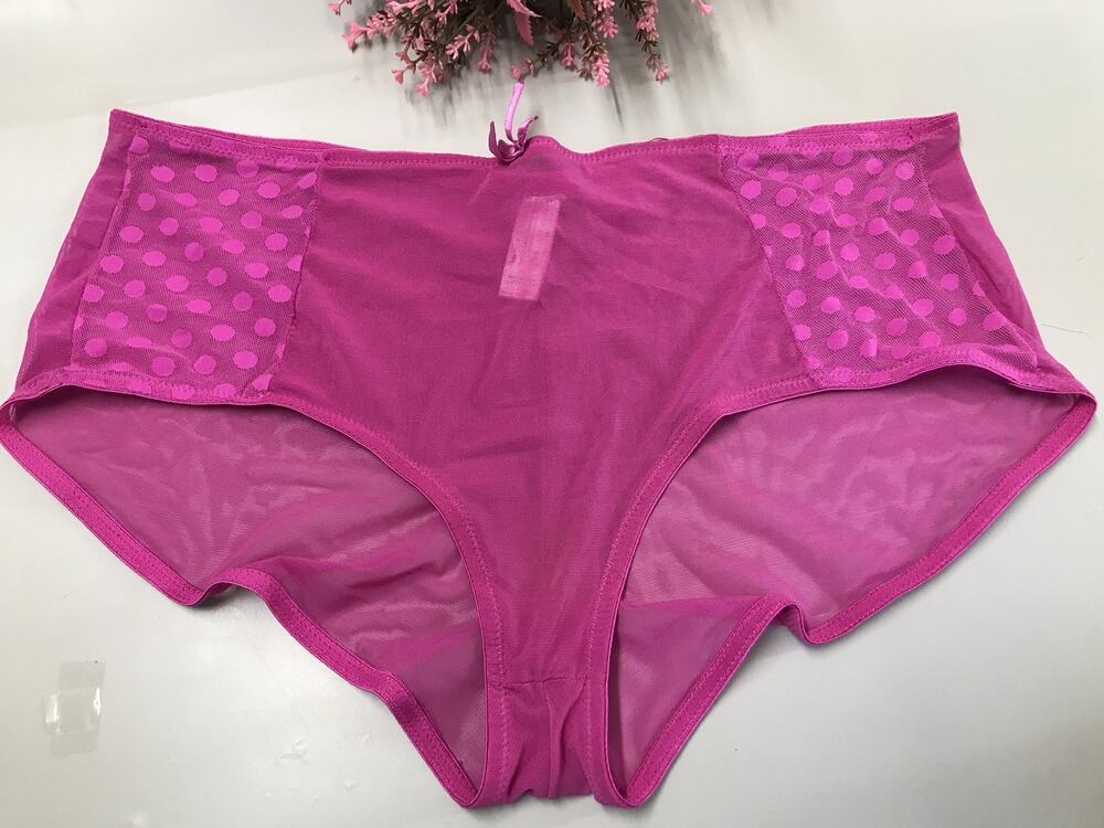 VGT WOMEN'S DELTA BURKE Sheer Floral Mesh HI-Leg MAGENTA Panties 10/3X PLUS SZ
